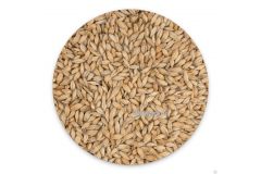 Солод ячменный для виски Heavy 50 Peated malt ЕВС 9 Crisp malt 1 кг