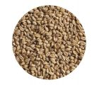 Солод пшеничный Wheat ЕВС 4-6 (Курский солод) 1 кг